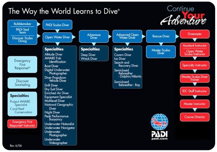 PADI Flowchart